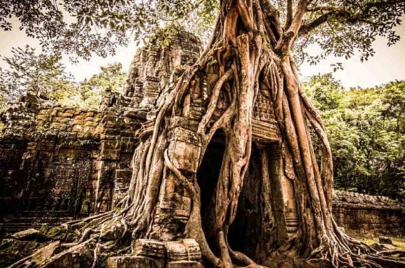 Ta Som temple