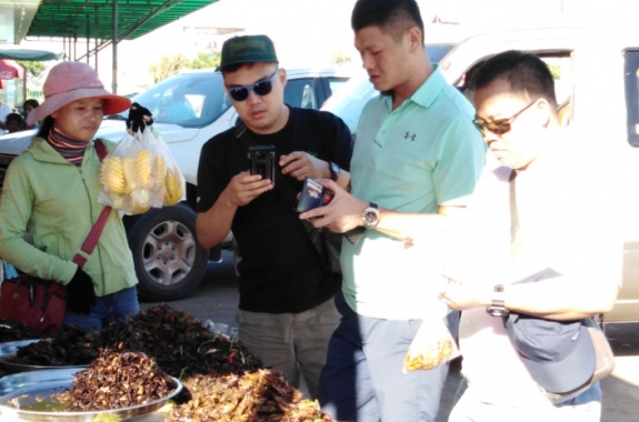 Between Phnom Penh -> Spider market -> Siem Reap