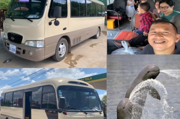 Minibuses