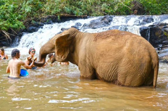 Mondulkiri
